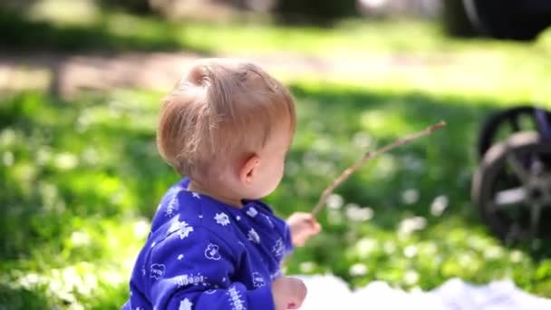 Small Baby Sits Blanket Grass Waves Wand High Quality Footage — Video Stock