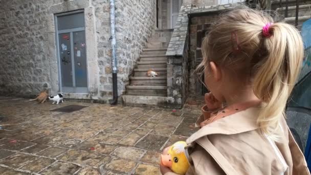 Little Girl Toy Duck Her Arms Looks Cats Courtyard Stone — Wideo stockowe