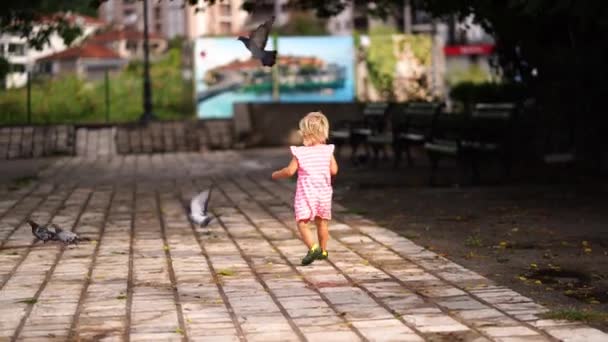 Little Girl Runs Paved Road Park Pigeons High Quality Footage — Stockvideo