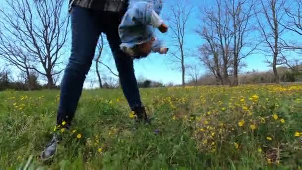 Mother Shakes Her Little Daughter Upside Green Lawn High Quality — Vídeo de Stock