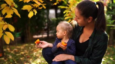 Little girl eats a ripe persimmon while sitting on her mother lap. High quality 4k footage