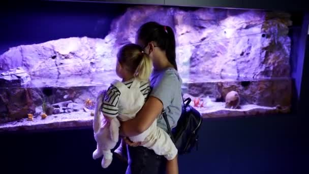 Mom Little Girl Stand Aquarium Silver Fish Oceanarium High Quality — Stockvideo