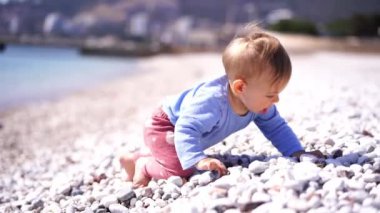 Small child crawls along a pebble beach, sticking out his tongue from zeal. High quality 4k footage