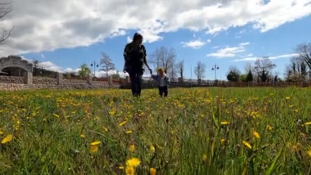 Mama Małą Dziewczynką Biegnie Przez Trawnik Kwitnącymi Mniszkami Zaczyna Okrążać — Wideo stockowe
