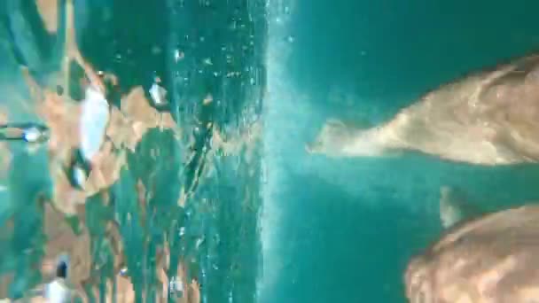 Homem Nada Rápido Balançando Ativamente Pernas Debaixo Água Imagens Alta — Vídeo de Stock