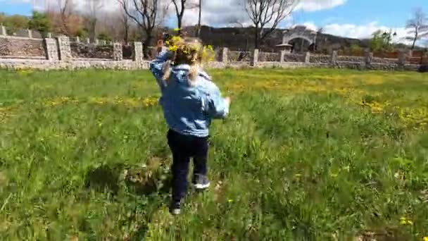 Little Girl Wreath Dandelions Runs Green Lawn Stone Fence High — 비디오