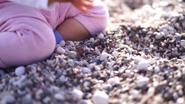 Small Baby Picks Fine Gravel Scatters Cropped High Quality Footage — Stok video