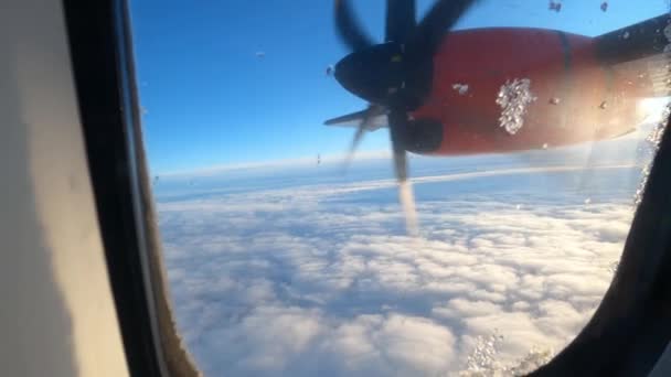 雲の上の航空機の回転プロペラの窓からの眺め 高品質4K映像 — ストック動画
