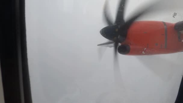 Rotating Airplane Engine Propeller Flight High Quality Footage — Stok Video