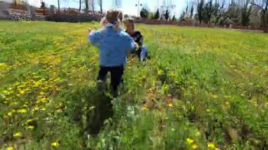 Little girl walks across the lawn to her mother weaving a wreath of dandelions. High quality 4k footage