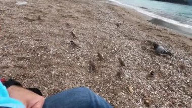 Child crumbles bread to sparrows on the seashore while sitting on dads lap. High quality 4k footage