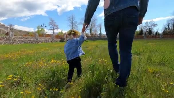 Маленька Дівчинка Гуляє Татом Допомогою Руки Зеленому Газоні Квітучими Кульбабами — стокове відео