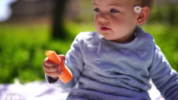 Little Girl Daisy Her Ear Eats Carrot Sitting Lawn High — Stok video