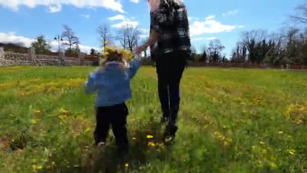 Мама Маленька Дівчинка Бігають Рукою Галявині Кульбаби Високоякісні Кадри — стокове відео