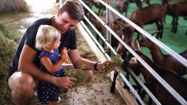 Little Girl Nibbles Carrot While Standing Next Her Dad Feeding — Vídeos de Stock