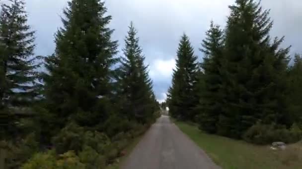 Casas Solitárias Entre Árvores Coníferas Vale Nos Lados Estrada Asfalto — Vídeo de Stock
