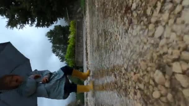 Liten Flicka Med Paraply Hoppar Genom Pölarna Stigen Parken Regnet — Stockvideo