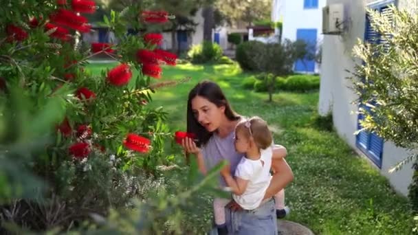 Maman Montre Une Petite Fille Assise Sur Ses Mains Buisson — Video