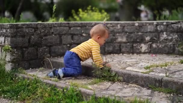 Little Girl Crawls Stone Steps Park High Quality Footage — Stockvideo