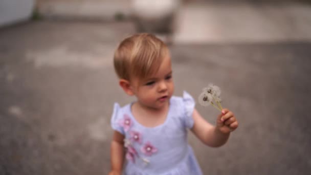 Little Girl Holding Dandelions Waving Them High Quality Footage — Vídeo de stock