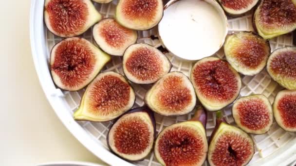 Red Fresh Figs Cut Pieces Lie Trays Electric Drying Table — ストック動画