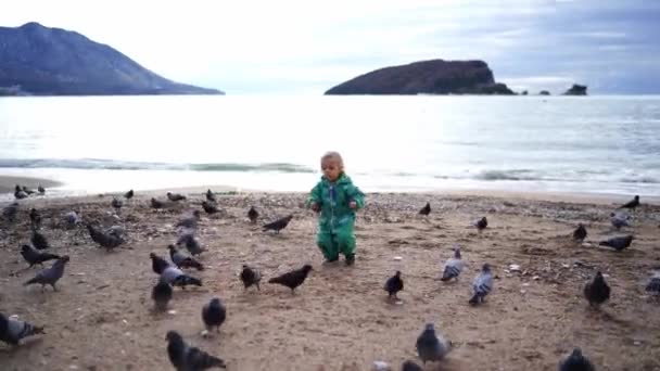 Маленькая Девочка Кормит Голубей Зерном Берегу Моря Высококачественные Кадры — стоковое видео