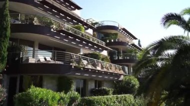 Green palm garden near the Dukley hotel. Montenegro. High quality FullHD footage