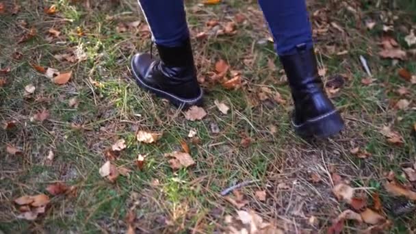 Mom Walks Autumn Forest Little Girl Her Arms High Quality — Vídeo de Stock