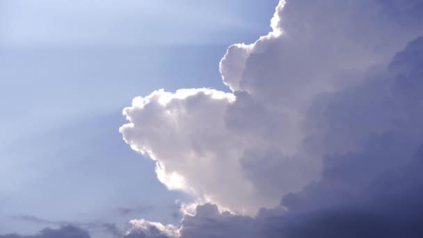 구름은 하늘에서 햇빛을 역광을 받는다 고품질 — 비디오