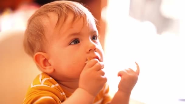 Kleine Baby Zit Een Kinderstoel Eet Bedachtzaam Een Stukje Broodje — Stockvideo