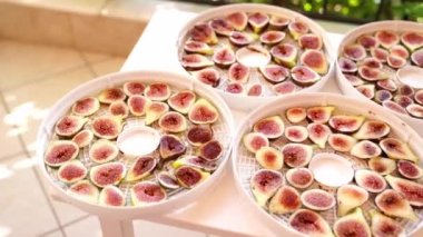 Sliced ripe figs lie on drying trays on a table on the balcony. High quality 4k footage