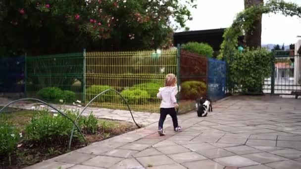Küçük Kız Bahçeden Kediye Doğru Koşuyor Yüksek Kaliteli Fullhd Görüntüler — Stok video