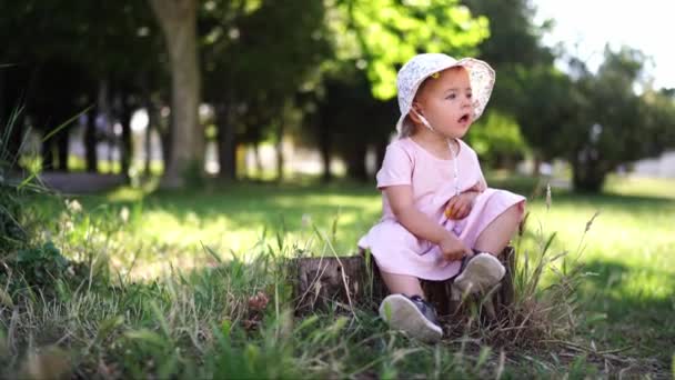 Κοριτσάκι Κάθεται Ένα Κούτσουρο Ένα Πράσινο Πάρκο Και Τραγουδάει Υψηλής — Αρχείο Βίντεο