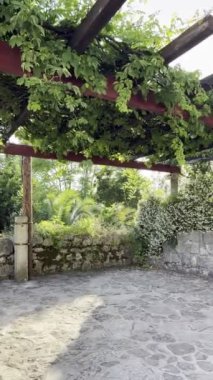Pergola in the garden entwined with green branches with a paved floor. High quality 4k footage