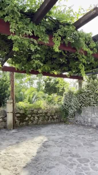 Pergola Dans Jardin Entrelacé Branches Vertes Avec Sol Pavé Images — Video