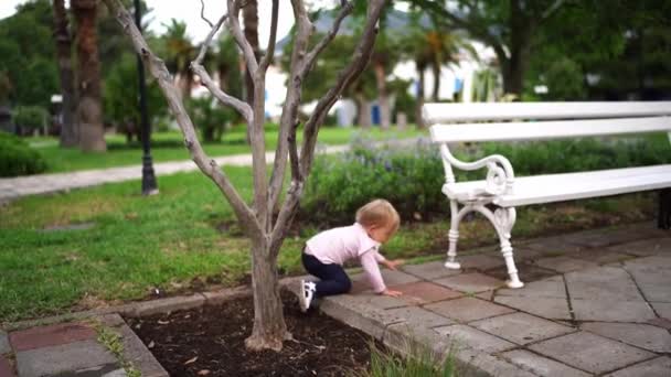 Little Girl Falls Gets Walks Tiles Park Bench High Quality — Stockvideo