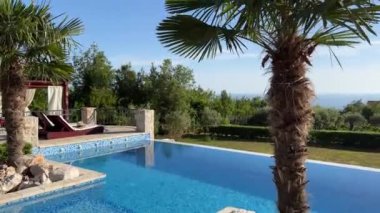 Wind shakes the green branches on the palm trees by the pool. High quality 4k footage