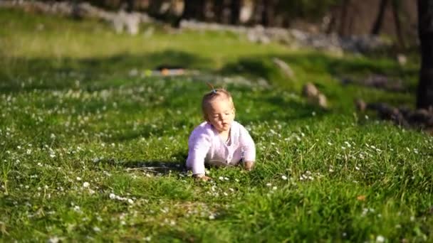 Little Girl Crawling Green Lawn Wildflowers High Quality Footage — Wideo stockowe