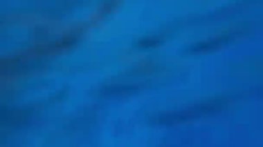 Smiling man jumping into the pool and resurfacing, straightening his hair with his hand. High quality 4k footage