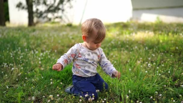Little Girl Crawls Green Lawn Flower Her Hand High Quality — Stock videók