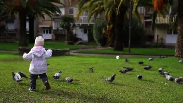 Little Girl Chasing Pigeons Green Grass Yard High Quality Footage — Wideo stockowe