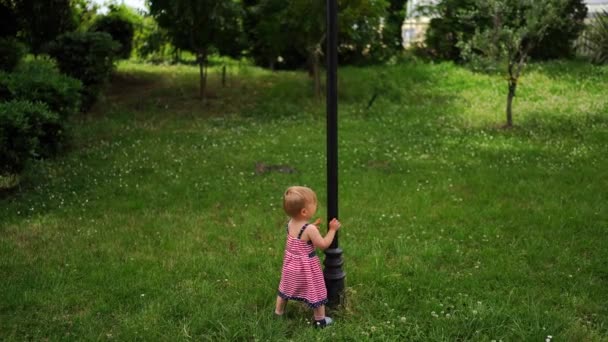 Little Girl Stands Green Lawn Waves Her Hands Front Post — Vídeo de Stock