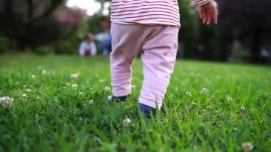 Small child takes the first steps on the green grass, balancing with his hands. Back view. High quality FullHD footage