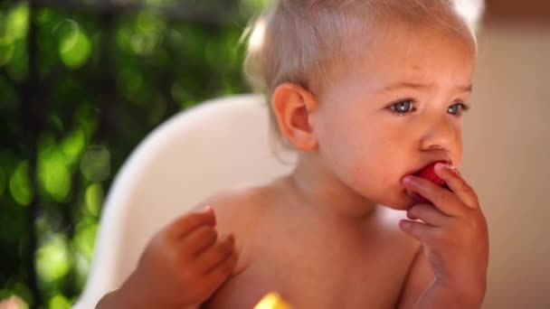 Little Girl Eats Big Strawberries Babbles Laughs High Quality Footage — Stok video