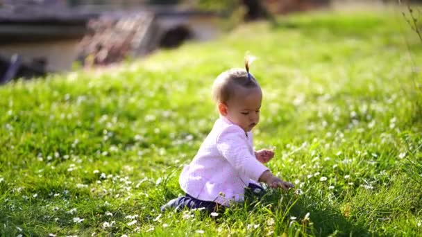 Mała Dziewczynka Siedzi Zielonym Trawniku Oskubuje Źdźbła Trawy Wysokiej Jakości — Wideo stockowe