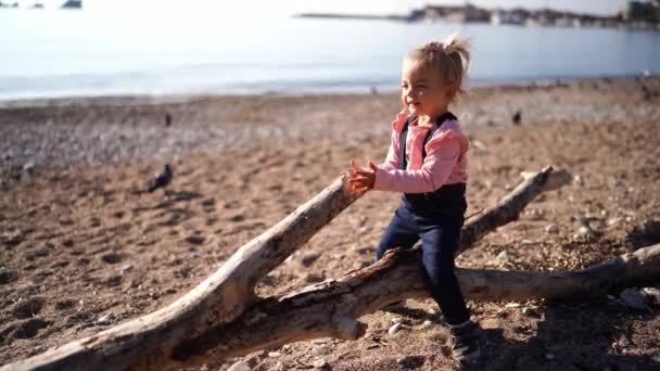 Little Girl Sitting Bouncing Wooden Snag Sandy Beach High Quality — Stockvideo