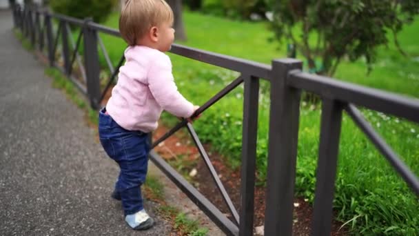Κοριτσάκι Προσπαθεί Σκαρφαλώσει Ένα Μεταλλικό Φράχτη Στο Πάρκο Υψηλής Ποιότητας — Αρχείο Βίντεο