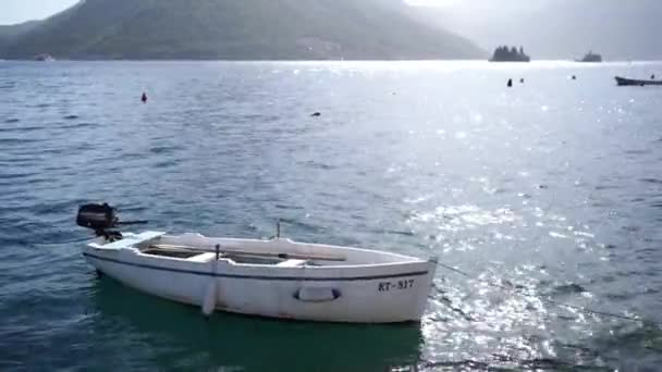Piccola Barca Pesca Ondeggia Sulle Onde Ormeggiate Con Una Corda — Video Stock
