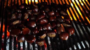 Fresh chestnuts are cooked on a grate on a fire in the oven. High quality 4k footage