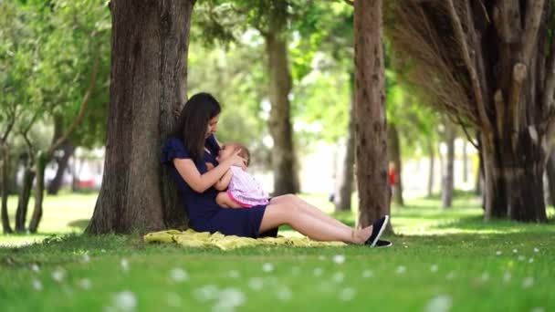 Mamãe Amamenta Uma Menina Sentada Parque Perto Árvore Imagens Alta — Vídeo de Stock